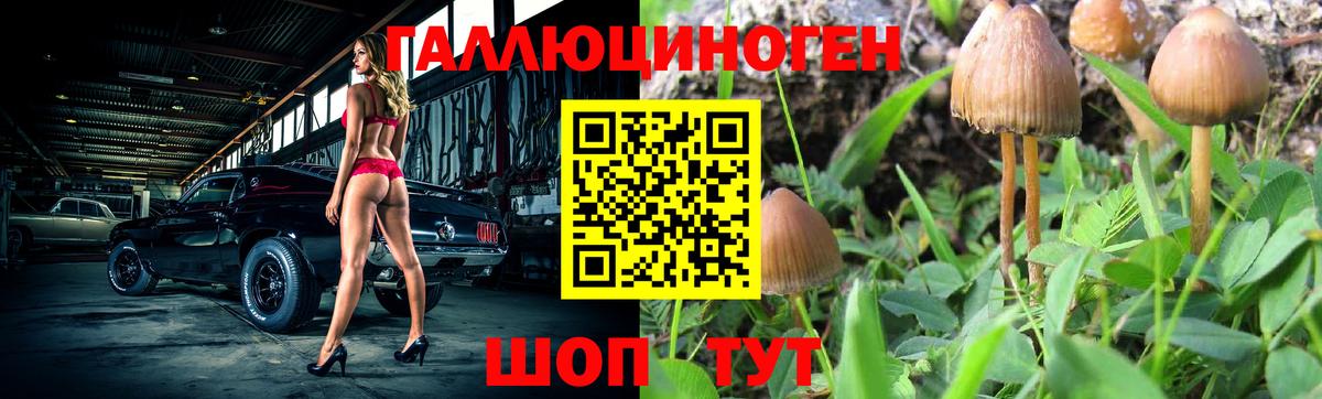 Псилоцибиновые грибы прущие грибы Новосибирск